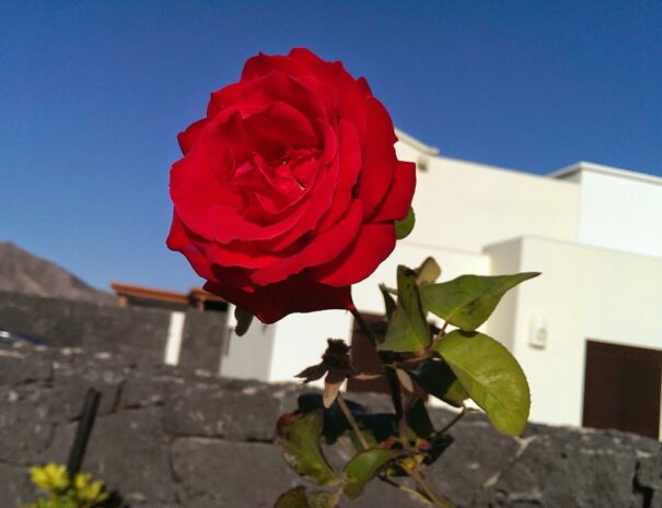 IMG-20130723-WA0012