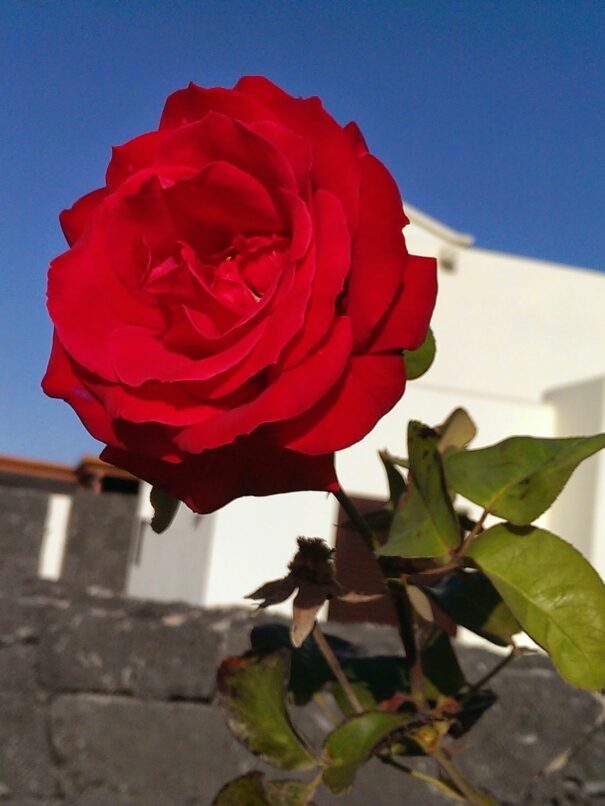 IMG-20130723-WA0012
