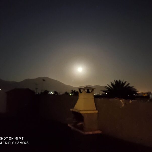 IMG_20200309_194325