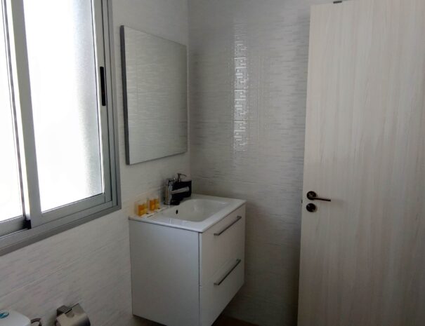 Vcas_baño_principal (1)