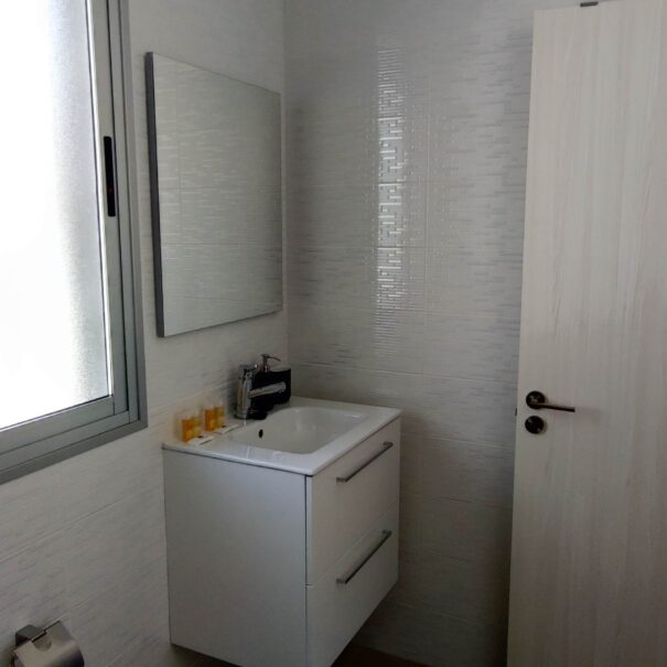 Vcas_baño_principal (1)