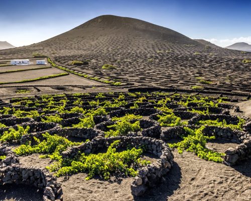 bouquet-volcanico_1742a84a_1258x833
